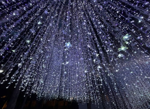 イルミネーション